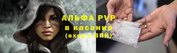 шишки Абинск